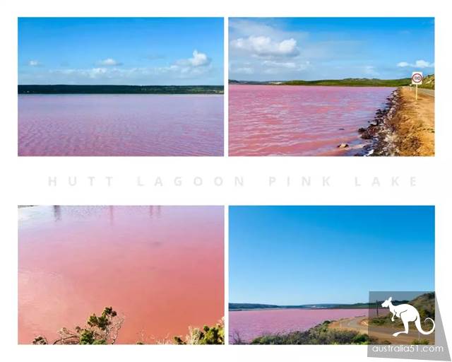 Hutt Lagoon, West Australia Pink Lake. Hey, God, your Lancome powder is spilled.