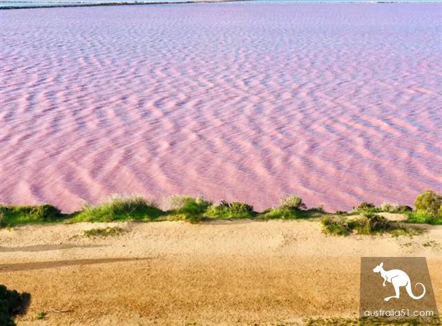Hutt Lagoon, West Australia Pink Lake. Hey, God, your Lancome powder is spilled.
