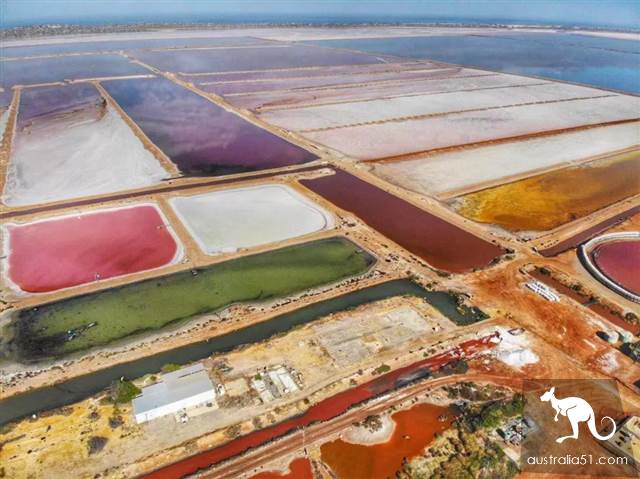 Hutt Lagoon, West Australia Pink Lake. Hey, God, your Lancome powder is spilled.