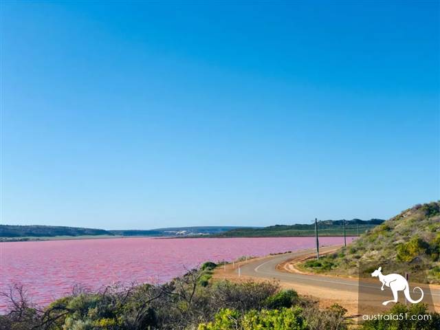 Hutt Lagoon, West Australia Pink Lake. Hey, God, your Lancome powder is spilled.