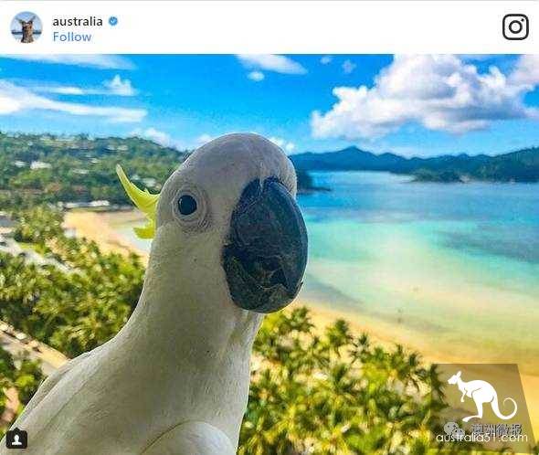 The most liked Australian island on the Internet, how many have you been to?