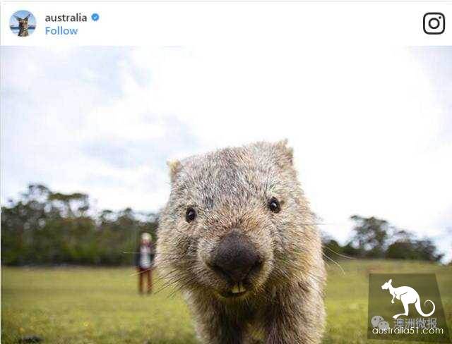 The most liked Australian island on the Internet, how many have you been to?