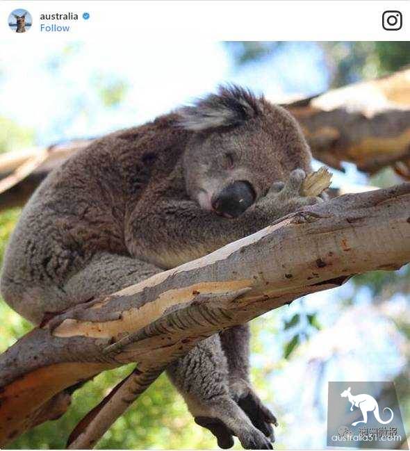 The most liked Australian island on the Internet, how many have you been to?