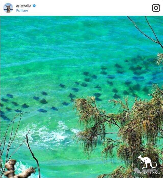 The most liked Australian island on the Internet, how many have you been to?