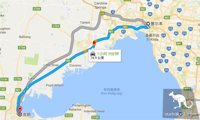 Melbourne self-driving tour total introduction (urban ocean road penguin island classic route)