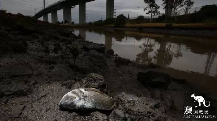 DANGER! 1.2 million liters of toxic chemicals found in Melbourne North! Part leaked! EPA 24-hour surveillance