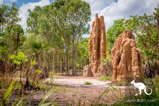 One is enough, the Northern Territory of Australia, where magic and wild coexist.