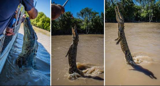 One is enough, the Northern Territory of Australia, where magic and wild coexist.