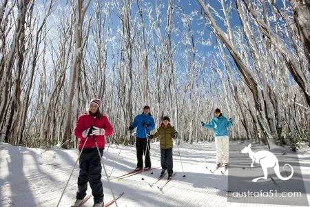 Excited! There's heavy snow around Melbourne, and the fun ski season begins! Skiing strategy in 2019 is the best.