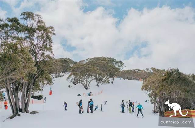 Excited! There's heavy snow around Melbourne, and the fun ski season begins! Skiing strategy in 2019 is the best.
