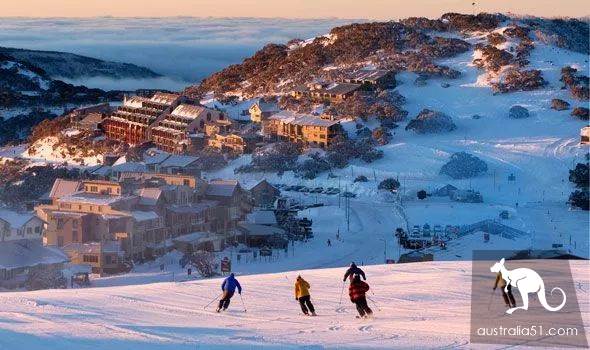 Excited! There's heavy snow around Melbourne, and the fun ski season begins! Skiing strategy in 2019 is the best.