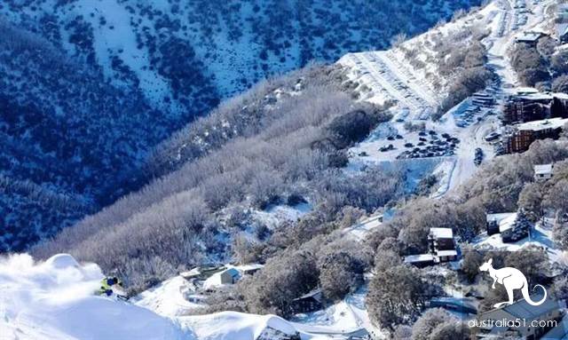 Excited! There's heavy snow around Melbourne, and the fun ski season begins! Skiing strategy in 2019 is the best.