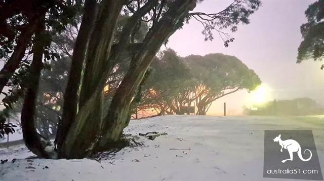Excited! There's heavy snow around Melbourne, and the fun ski season begins! Skiing strategy in 2019 is the best.