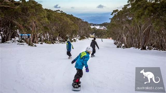 Excited! There's heavy snow around Melbourne, and the fun ski season begins! Skiing strategy in 2019 is the best.