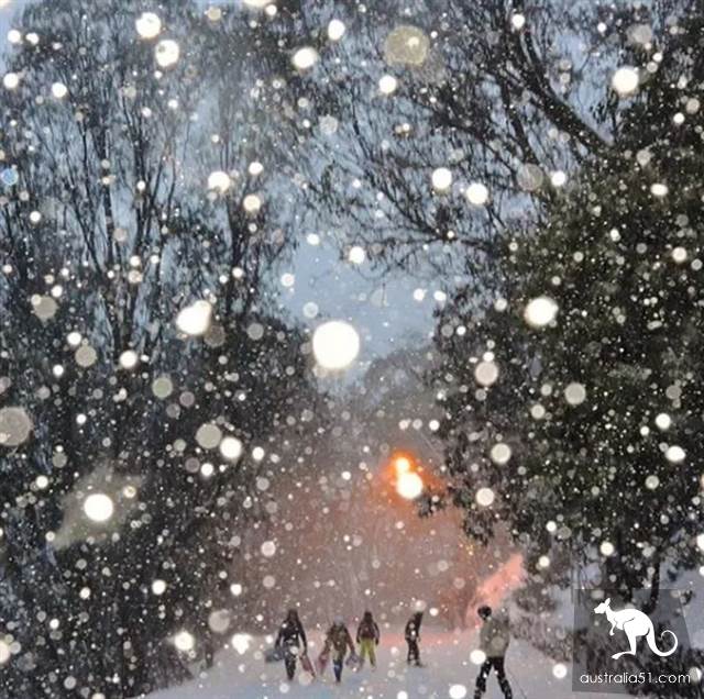 Excited! There's heavy snow around Melbourne, and the fun ski season begins! Skiing strategy in 2019 is the best.