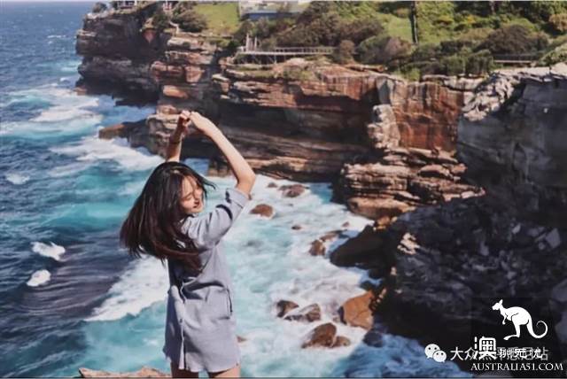 沧海遗珠，悉尼钻石湾保护区，INS博主惊险照秒解锁