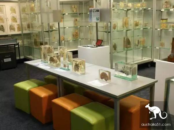 Walk into Sydney's coolest top 10 museums