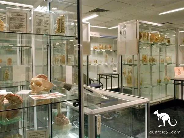 Walk into Sydney's coolest top 10 museums