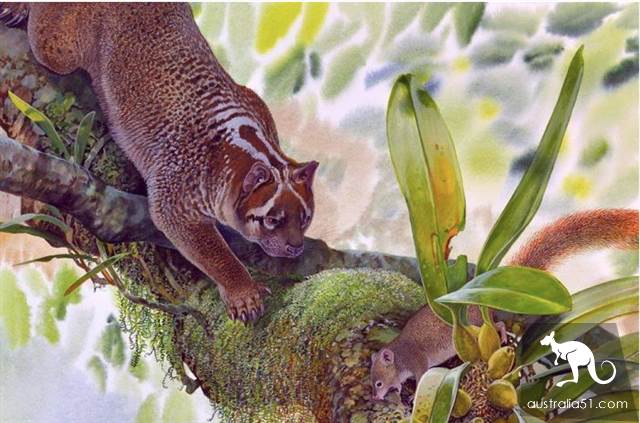 Fossil found at Kunzhou site identified as new breed of marsupial