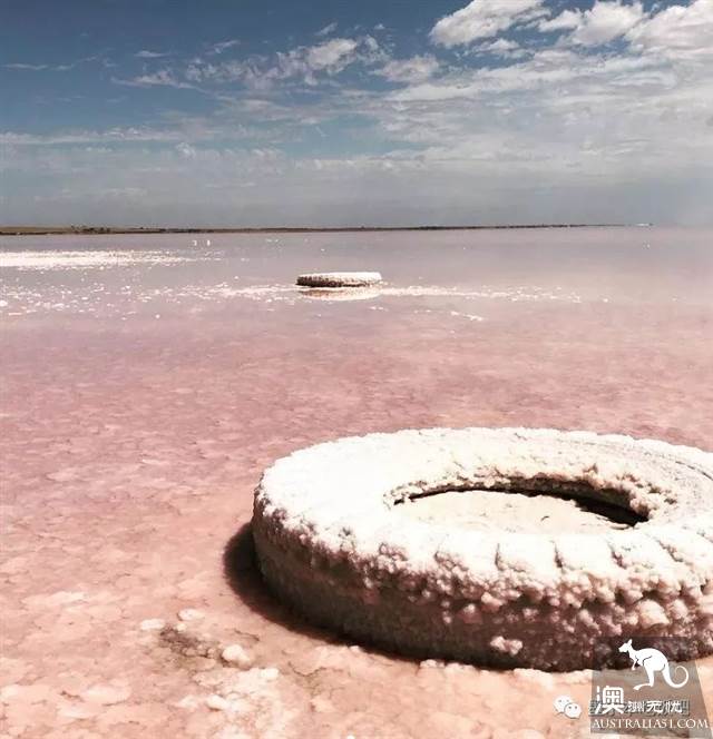 Lake Terrell is dry in the state of the sky, and it is beautiful to heaven without wate