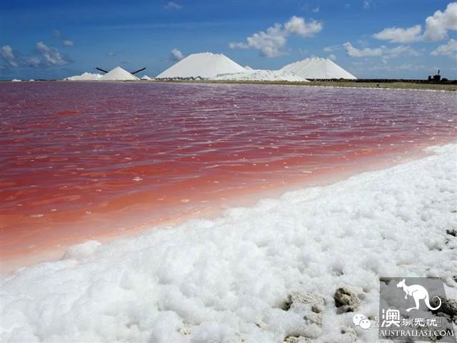 Lake Terrell is dry in the state of the sky, and it is beautiful to heaven without wate