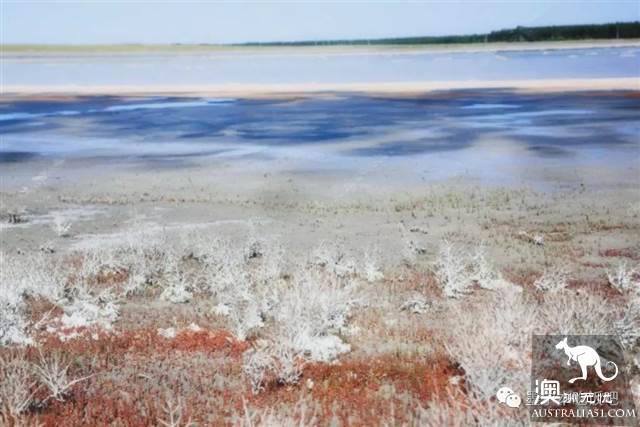 Lake Terrell is dry in the state of the sky, and it is beautiful to heaven without wate
