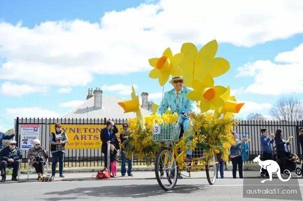 Keynton Town: 63 traditional daffodils Festival, the correct opening of the spring model