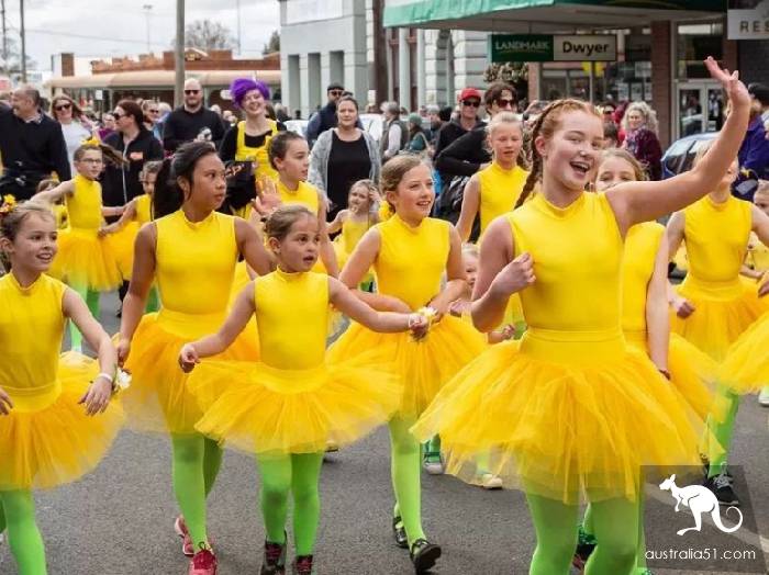 Keynton Town: 63 traditional daffodils Festival, the correct opening of the spring model