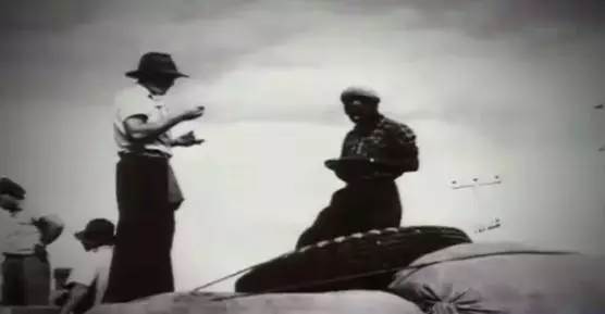 作大死！澳洲鬼城已杀死2000人，游客还纷至沓来，4万澳洲人还在威胁之下