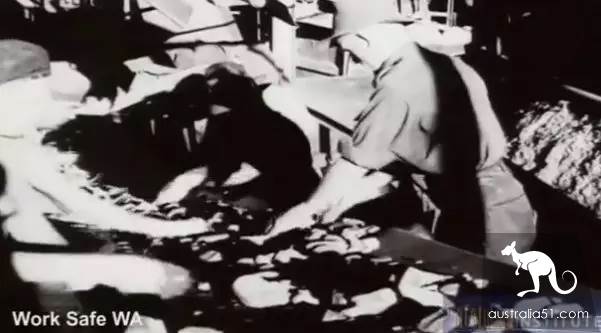 作大死！澳洲鬼城已杀死2000人，游客还纷至沓来，4万澳洲人还在威胁之下