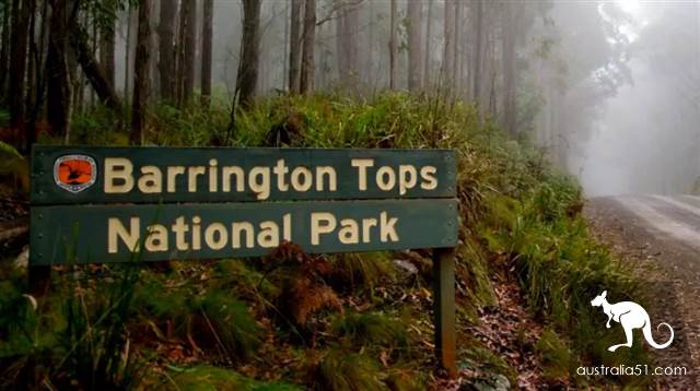 Spit blood! There are 12 beautiful scenic spots around Sydney and 19 characteristic towns! Take baby and play with one.