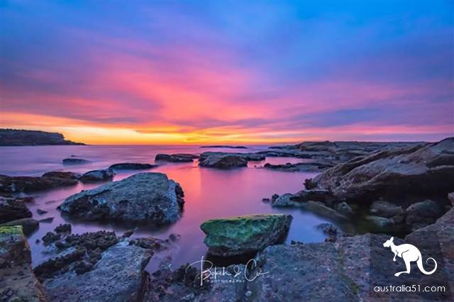 Spit blood! There are 12 beautiful scenic spots around Sydney and 19 characteristic towns! Take baby and play with one.