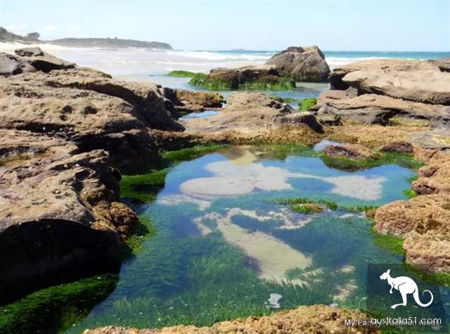 Spit blood! There are 12 beautiful scenic spots around Sydney and 19 characteristic towns! Take baby and play with one.