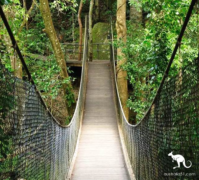 Spit blood! There are 12 beautiful scenic spots around Sydney and 19 characteristic towns! Take baby and play with one.
