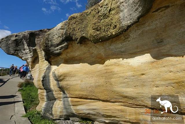 Six kilometers to explore Sydney's best-known coastal trekking route: Bundy to Kugibstep Road