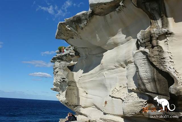 Six kilometers to explore Sydney's best-known coastal trekking route: Bundy to Kugibstep Road