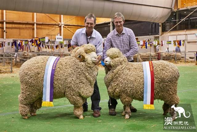 Super popular, 2019 Sydney Royal Easter Carnival is ready, April grand attack!