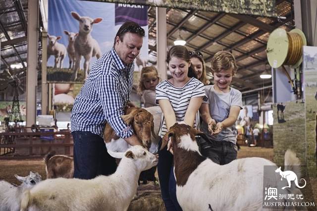 Super popular, 2019 Sydney Royal Easter Carnival is ready, April grand attack!