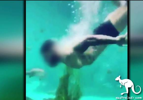 'Swim the Aquarium in Underwear ', Sydney man charged with trespassing