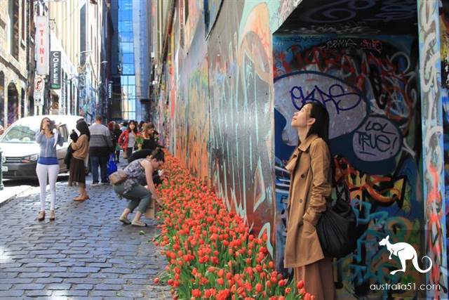 Melbourne famous graffiti street tragically attacked with paint