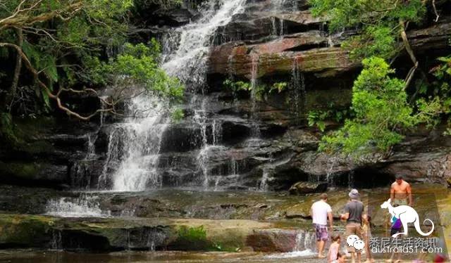 It's so full! 9 hikes around Sydney! 44 national parks, stars, forests, beaches, all over the wildest and most beautiful Sydney