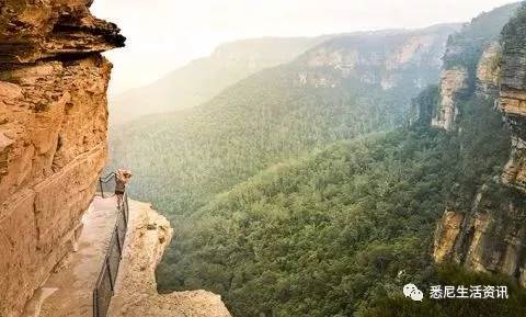 It's so full! 9 hikes around Sydney! 44 national parks, stars, forests, beaches, all over the wildest and most beautiful Sydney