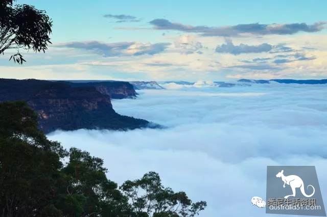 It's so full! 9 hikes around Sydney! 44 national parks, stars, forests, beaches, all over the wildest and most beautiful Sydney