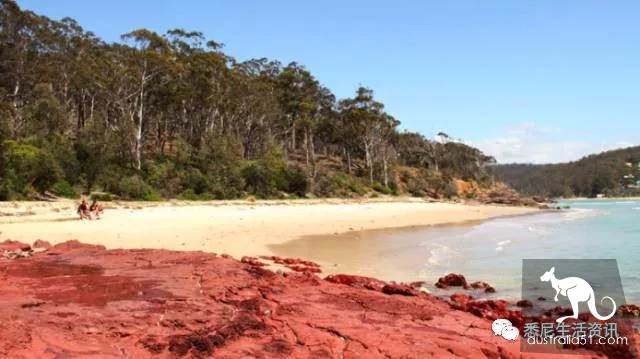 It's so full! 9 hikes around Sydney! 44 national parks, stars, forests, beaches, all over the wildest and most beautiful Sydney