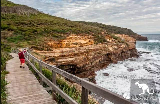 It's so full! 9 hikes around Sydney! 44 national parks, stars, forests, beaches, all over the wildest and most beautiful Sydney