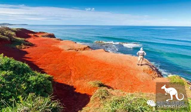 It's so full! 9 hikes around Sydney! 44 national parks, stars, forests, beaches, all over the wildest and most beautiful Sydney