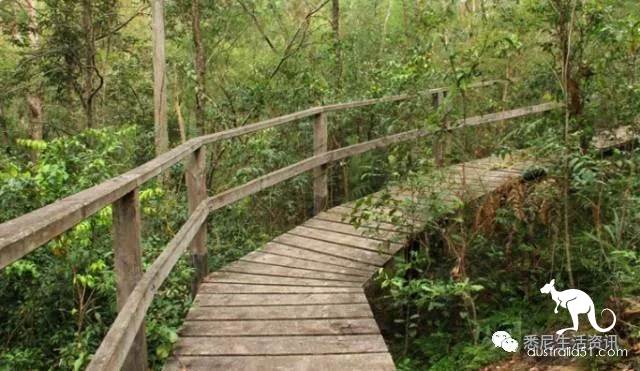 It's so full! 9 hikes around Sydney! 44 national parks, stars, forests, beaches, all over the wildest and most beautiful Sydney