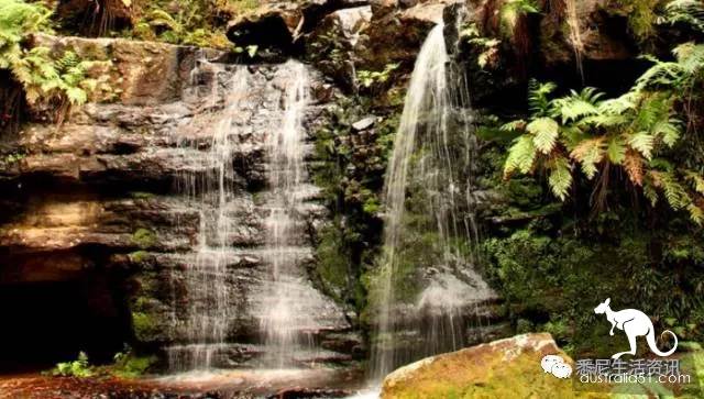 It's so full! 9 hikes around Sydney! 44 national parks, stars, forests, beaches, all over the wildest and most beautiful Sydney