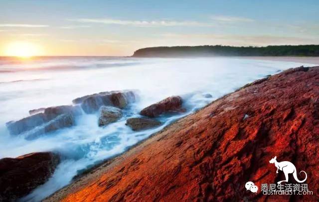 It's so full! 9 hikes around Sydney! 44 national parks, stars, forests, beaches, all over the wildest and most beautiful Sydney
