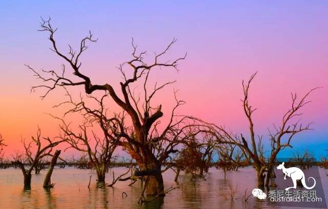 It's so full! 9 hikes around Sydney! 44 national parks, stars, forests, beaches, all over the wildest and most beautiful Sydney